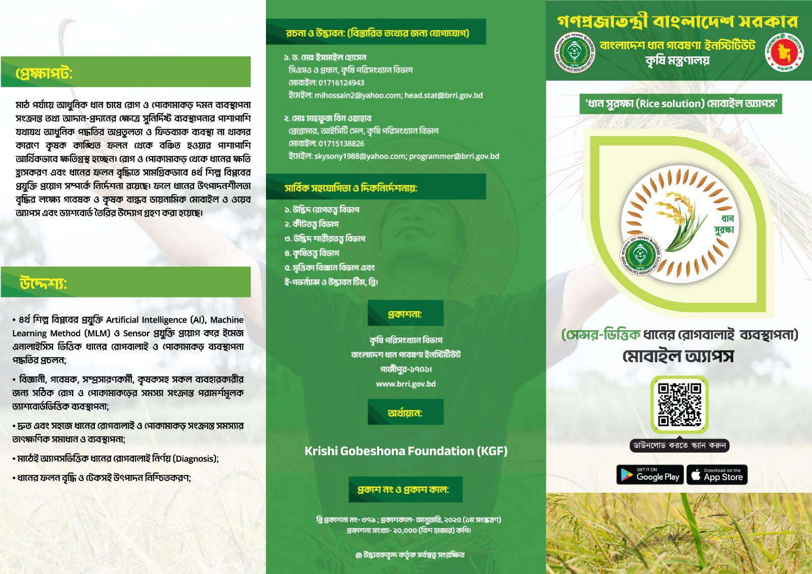 Outer Leaflet